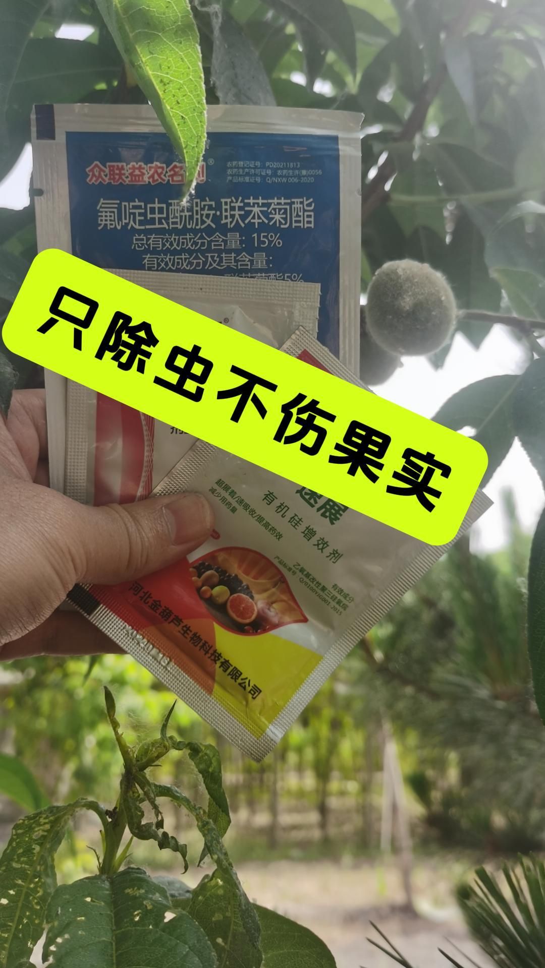 https://static.ixuenong.com/pxn/uploads/prod/thirdfile/2025/05/927e3e9aa5485e44f298f1b62ff90951.jpg