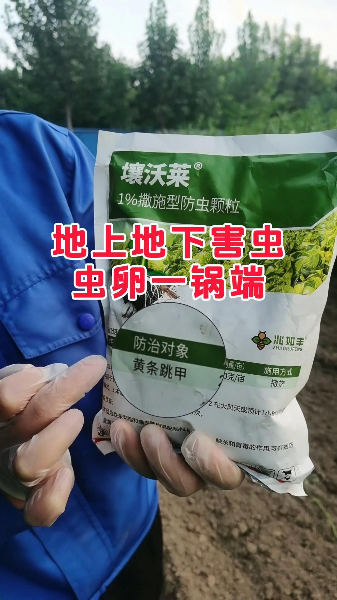 https://static.ixuenong.com/pxn/uploads/prod/thirdfile/2025/05/92c8da8b595079062687ec39c22a52d8.jpg
