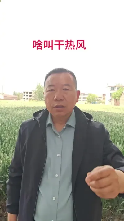 啥叫干热风？干热风得具备以下条件。一，气温在30度以上。二，空气湿度小于30%，三，风速每秒两米，也就是3，4级风#小麦种植#小麦种植管理技术#三农#抖音助农