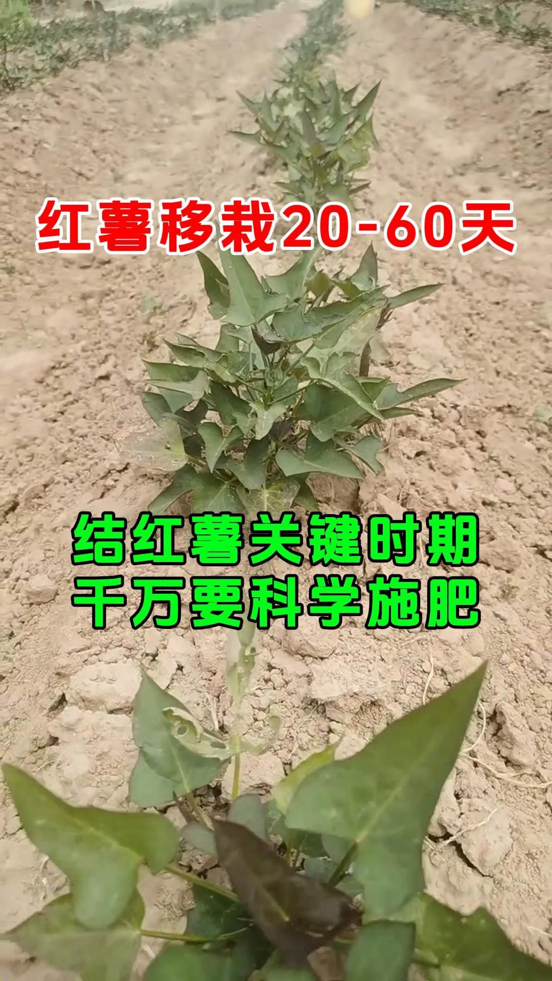 https://static.ixuenong.com/pxn/uploads/prod/thirdfile/2025/05/93df84c1ff9c05eb21227684166a5614.jpg