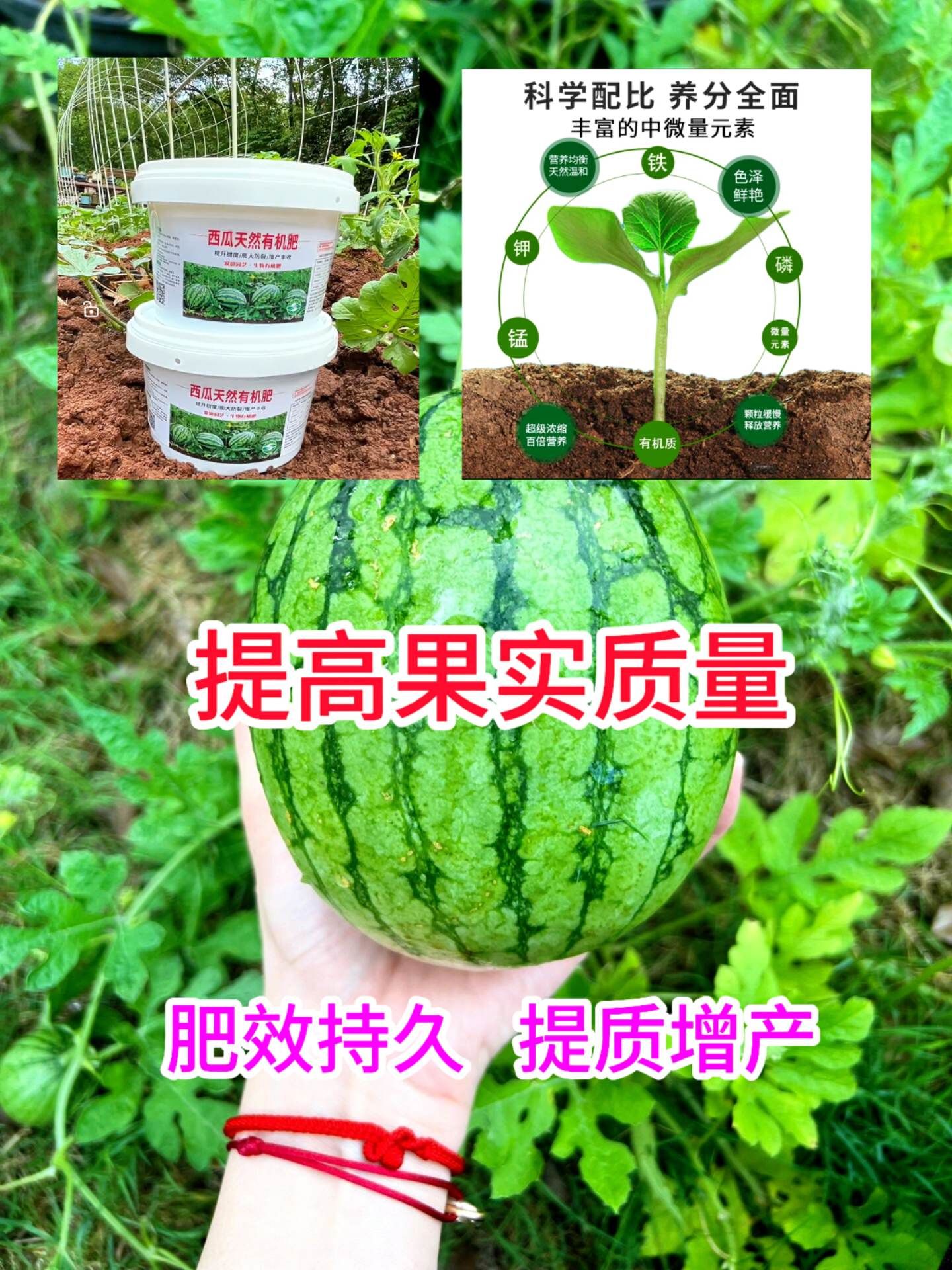 https://static.ixuenong.com/pxn/uploads/prod/thirdfile/2025/05/953d2de36ad19e5286112fc0d7dcd82d.jpg
