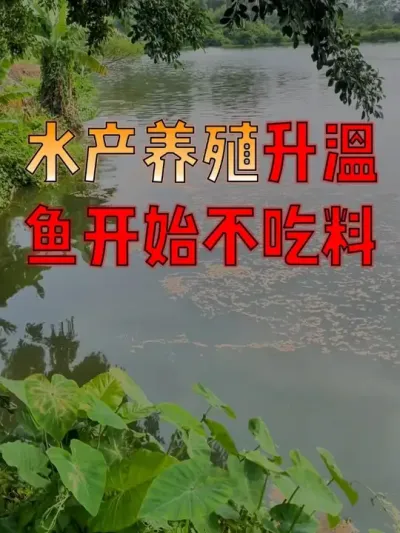 �¶������Ժ����㷴������������ʲô������#������  #����  #ˮ����ֳ����  #ˮ��