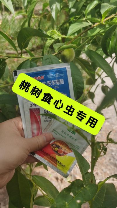 ʳĳר䷽˫#溦 # #֧ũũ #ũ #ũҵ֪ʶũ