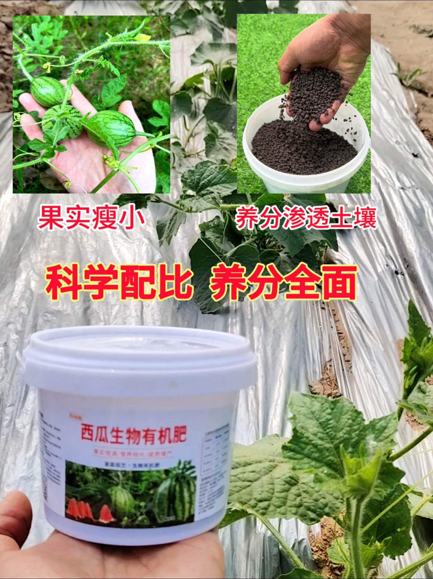 https://static.ixuenong.com/pxn/uploads/prod/thirdfile/2025/05/969e1aa7f6f8a2e25879368533ce42df.jpg