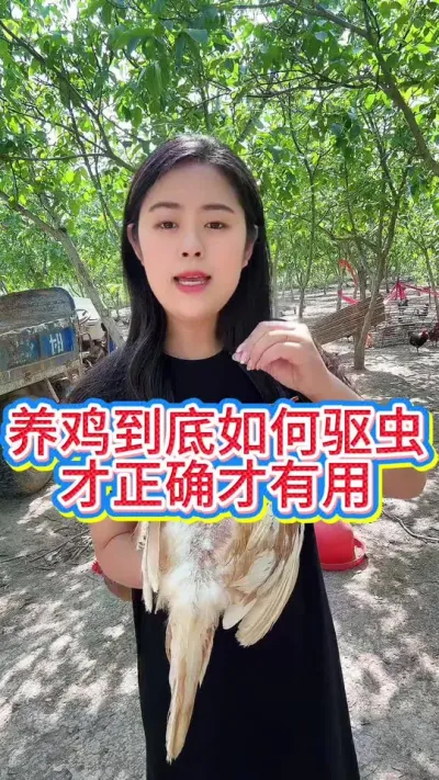 养鸡如何驱虫才正确才有用#服务三农支持三农 #科学养鸡 #鸡鸭鹅养殖 #抖音养鸡人 #养鸡妙招