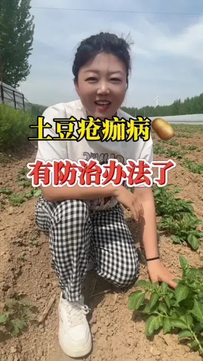 土豆疮痂病有防治方案了@抖音小助手 #土豆疮痂病 #土豆高产种植