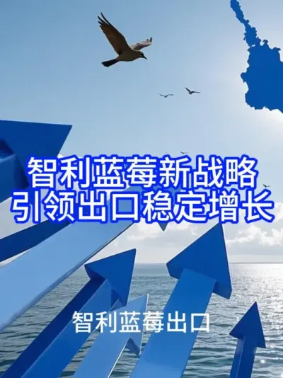 (135) ������ݮ��ս����������ȹ�����@��ʳ��չó����ƽ̨