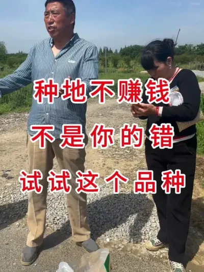 小粒豆卖不动，改种这个品种 #三农流量扶持计划 #大豆种植 #抖音助农 #优质农产品 #抖音助农扶农