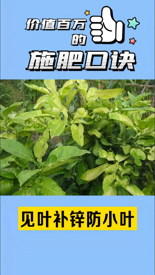 https://static.ixuenong.com/pxn/uploads/prod/thirdfile/2025/05/99ce5f7d81a281e3b586eda314b5d387.jpg