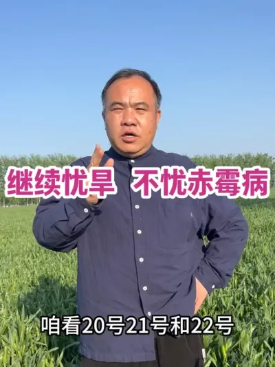 �����Ǻ� ���ǳ�ù�� һ�������������ʪ��ʪ�����������ﻨ���Ǳ�����ù���Ļ�����#ũҵݪֲ����