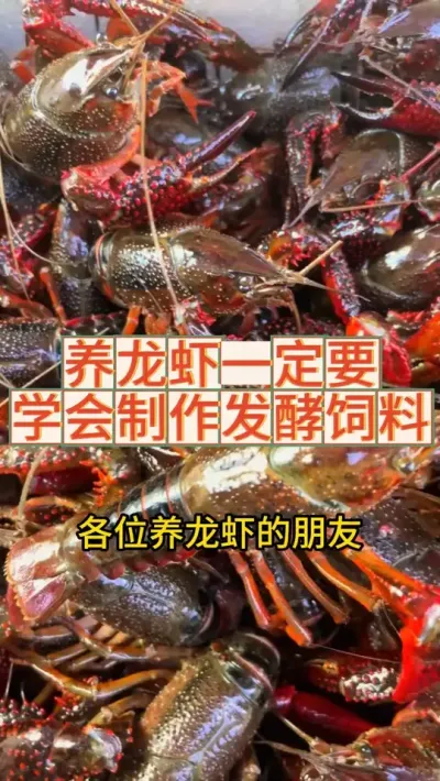 Ϻ٭һҪѧ #ũ #СϺ #ʢ #ũҵ #2025ũ