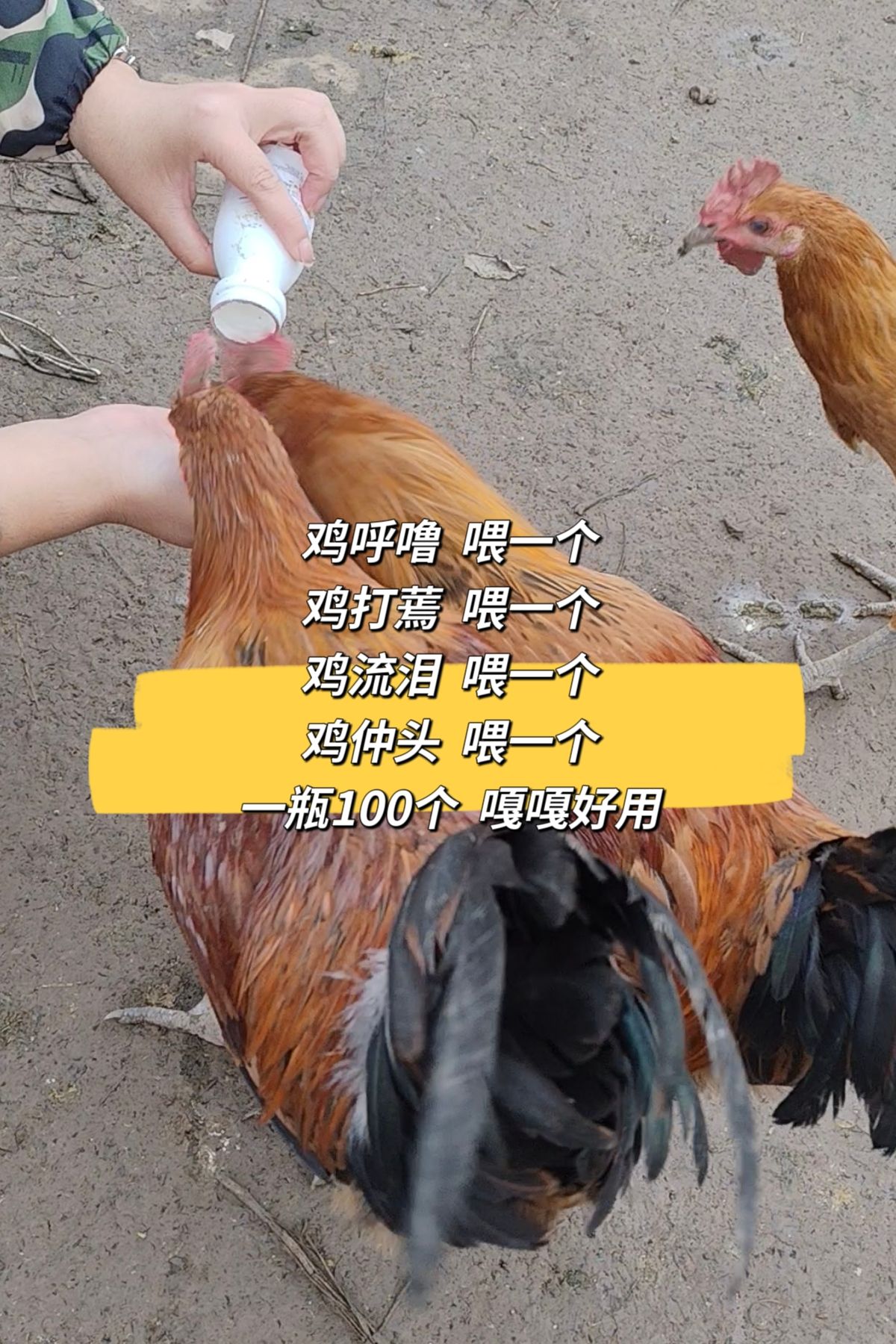 https://static.ixuenong.com/pxn/uploads/prod/thirdfile/2025/05/9ac54f76a9f96e7683d23a706d2b7bd1.jpg