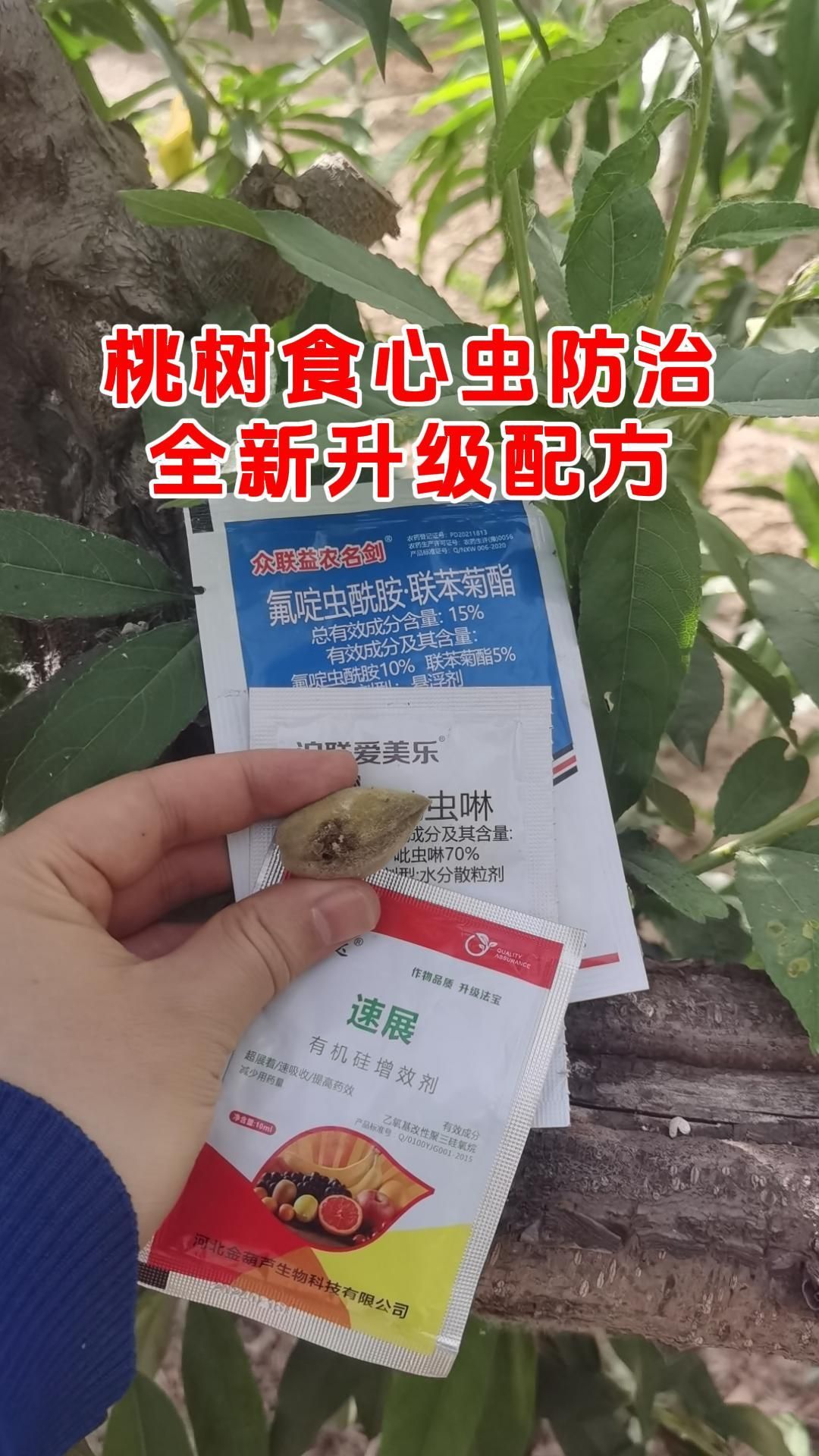 https://static.ixuenong.com/pxn/uploads/prod/thirdfile/2025/05/9ad716ed0e1f88a9515b906d32b7b08e.jpg