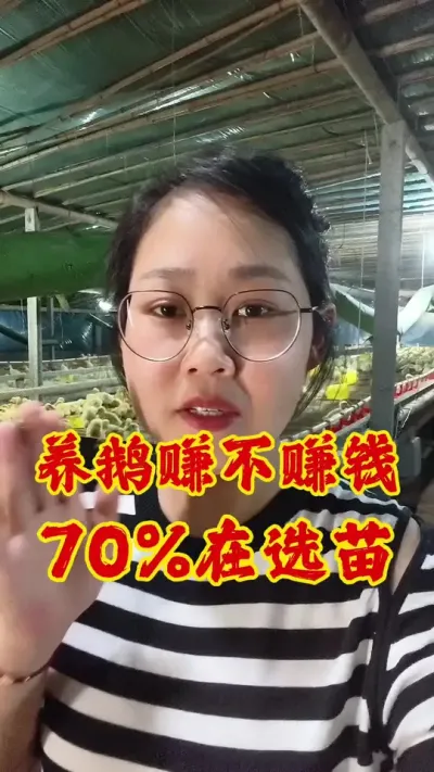 ׬׬Ǯ70%ڶ# # # #շ #˼