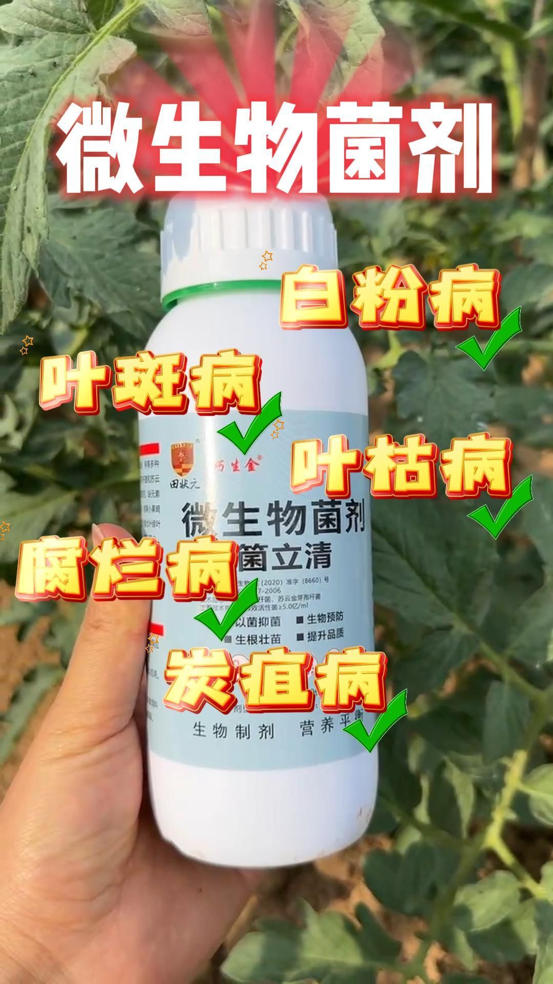 https://static.ixuenong.com/pxn/uploads/prod/thirdfile/2025/05/9c2f0d3195d8f74dc0782f24c2e31742.jpg