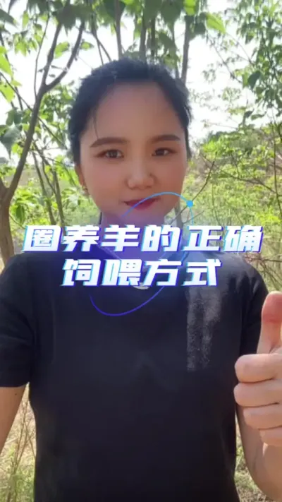 圈养羊的正确饲喂方式#养羊技术 #羊价行情 #养羊知识 #养羊技术分享 #养羊