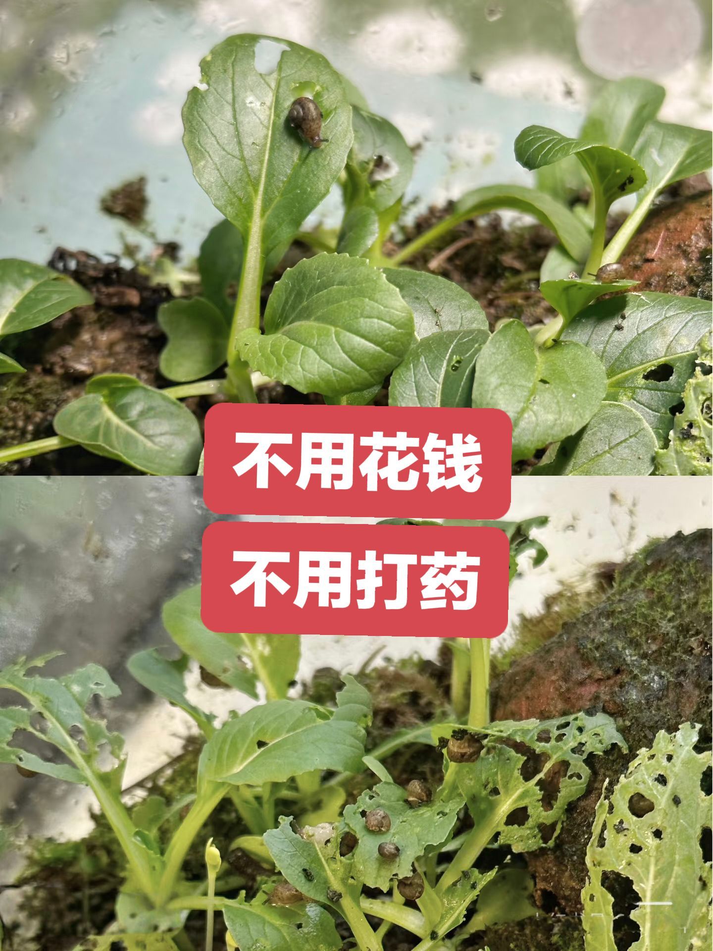 https://static.ixuenong.com/pxn/uploads/prod/thirdfile/2025/05/9cdc669f2c373c57e8f783831286a446.jpg