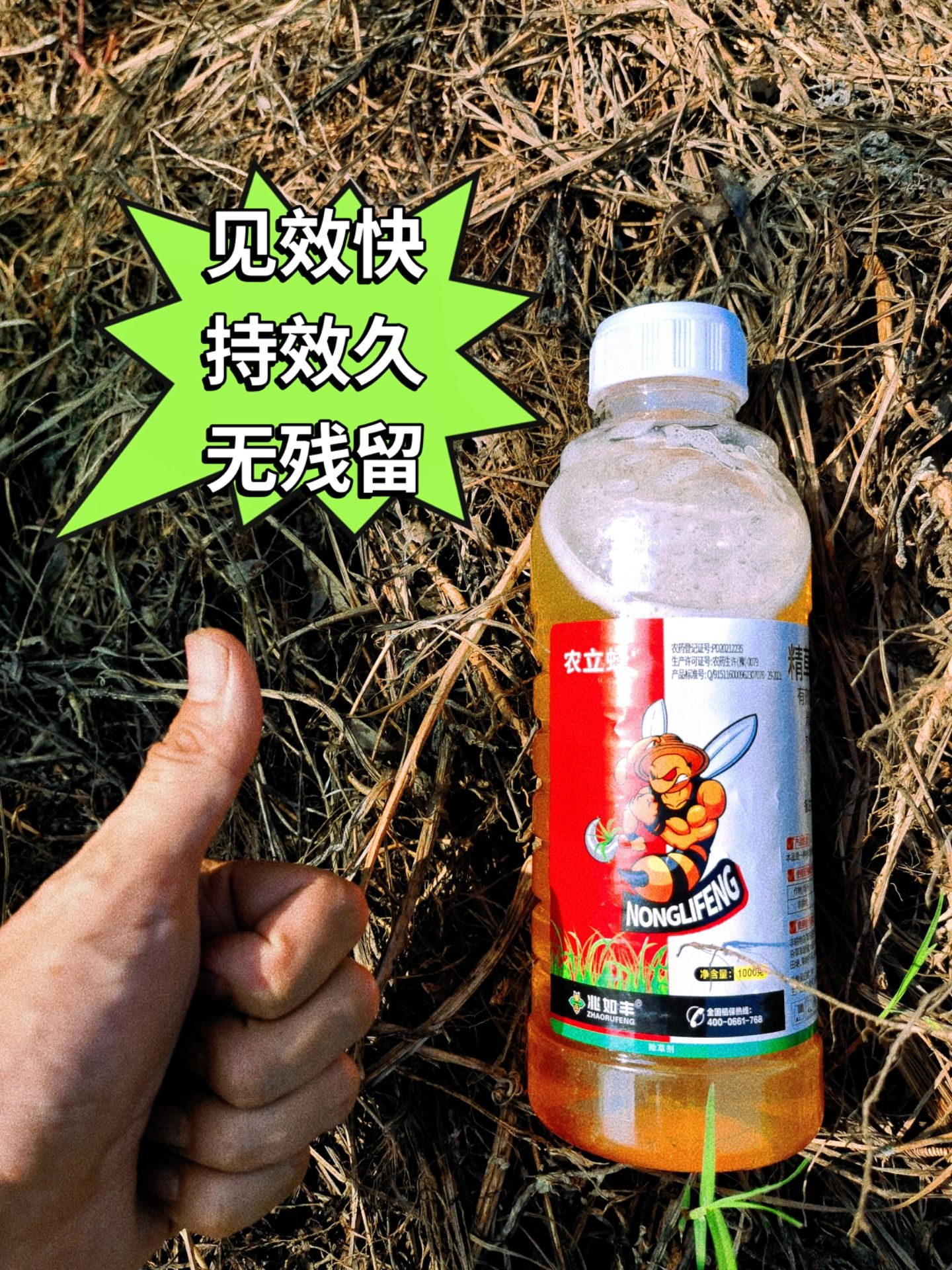 https://static.ixuenong.com/pxn/uploads/prod/thirdfile/2025/05/9d22cafca91f65c9a774e7a722bc7e07.jpg