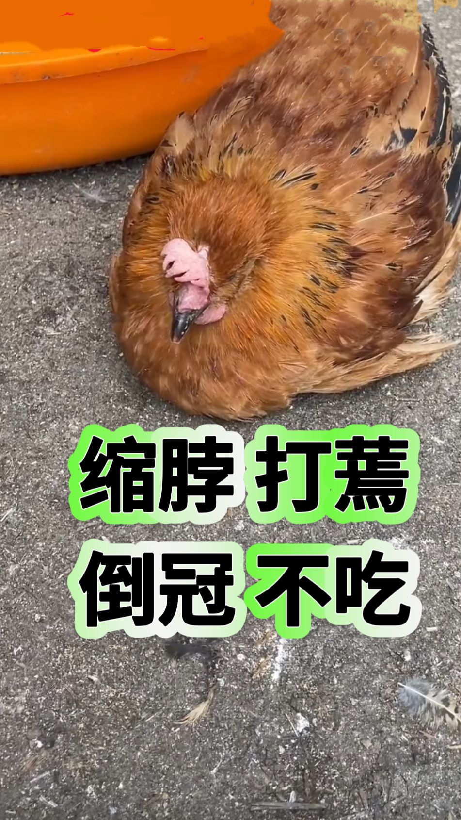 https://static.ixuenong.com/pxn/uploads/prod/thirdfile/2025/05/9d62271586f25b1b74afacbd2a9ae7c1.jpg