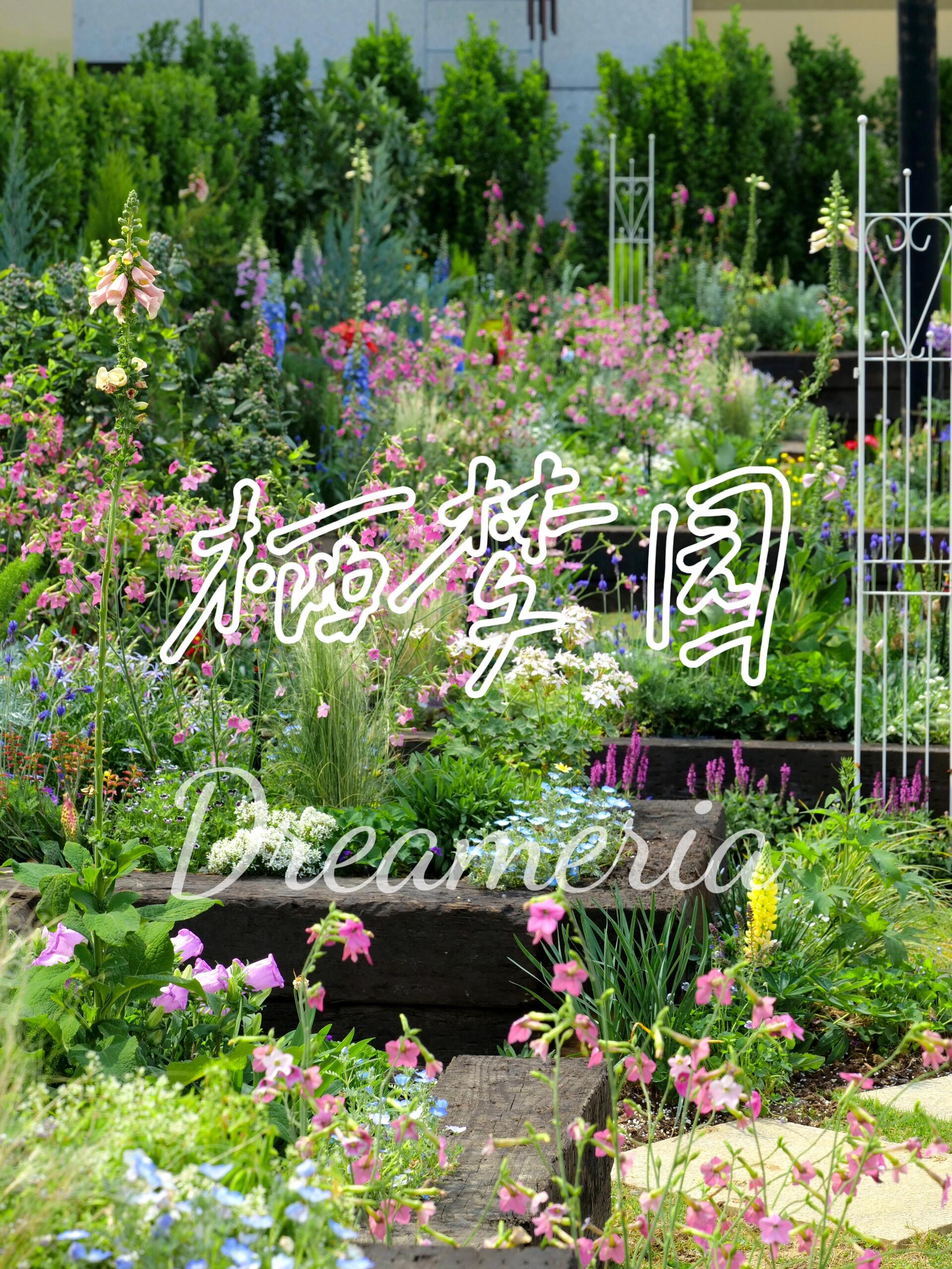 https://static.ixuenong.com/pxn/uploads/prod/thirdfile/2025/05/9d66f0a36b00fc038d06d282107107e9.jpg