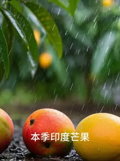 (106) ӡâڣ “˰” ͻ@ʳչóƽ̨