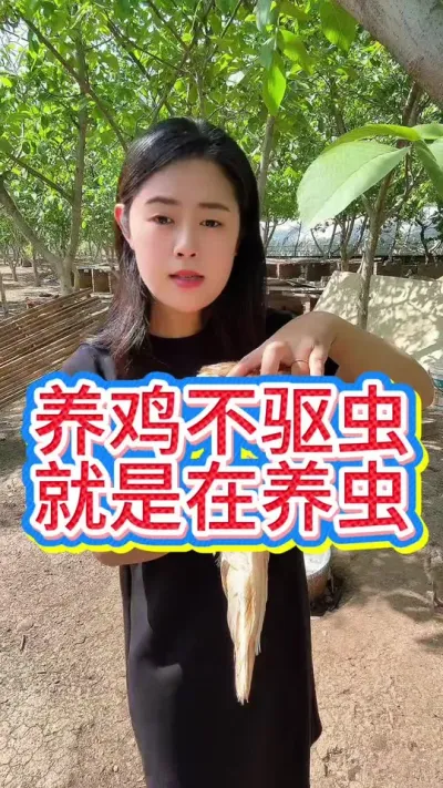 养鸡不驱虫就是在养虫#养鸡#科学养鸡#散养土鸡#养鸡妙招#鸡鸭鹅养殖