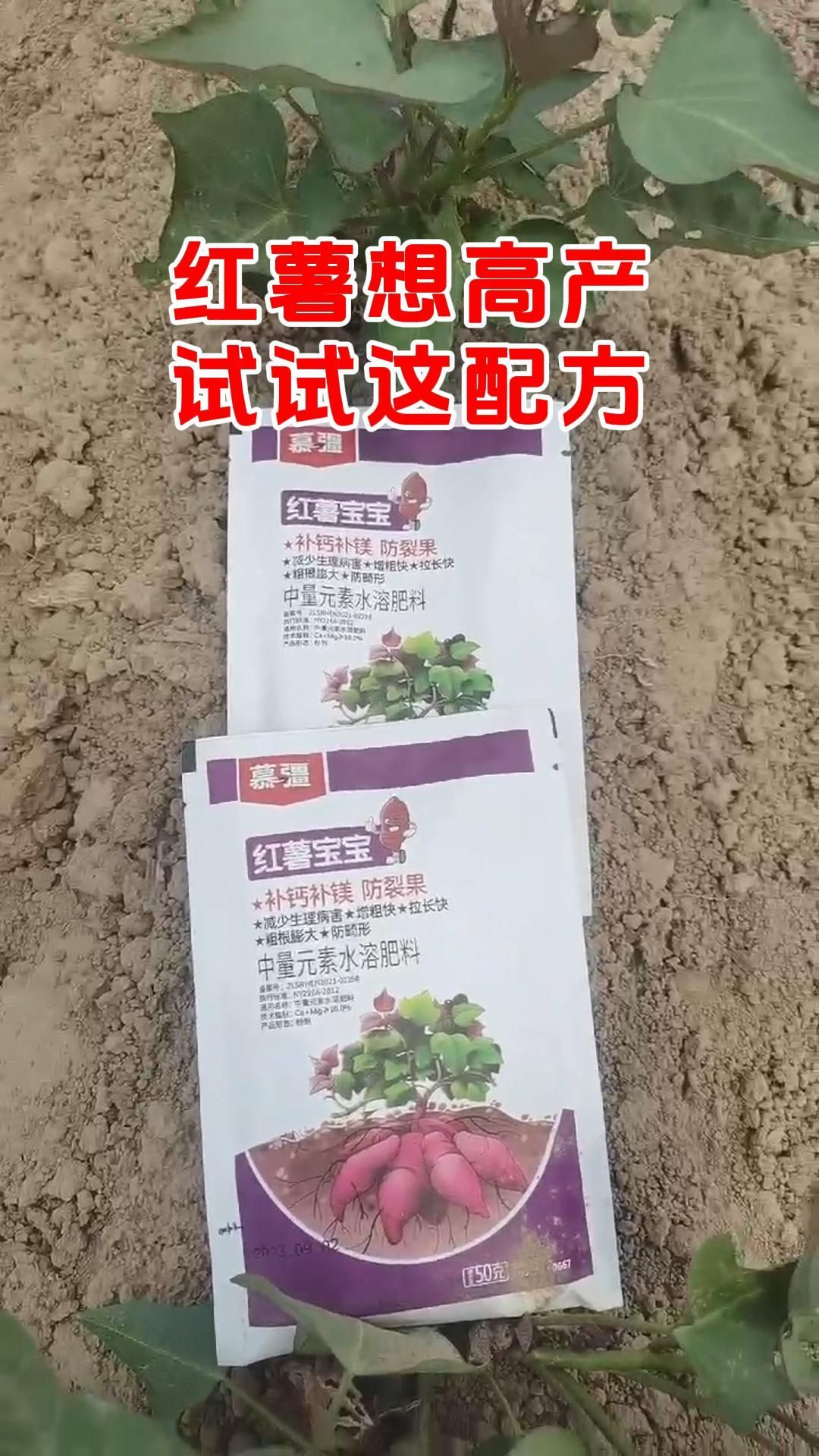 https://static.ixuenong.com/pxn/uploads/prod/thirdfile/2025/05/a150846502739414ebd81aa556cd0984.jpg