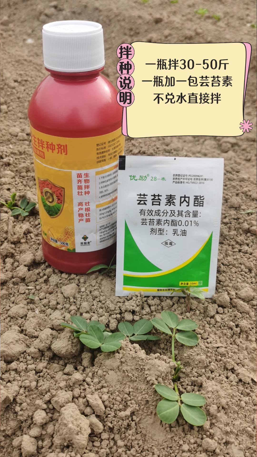 https://static.ixuenong.com/pxn/uploads/prod/thirdfile/2025/05/a25210217b29fb2b43aa87996a8c77ad.jpg