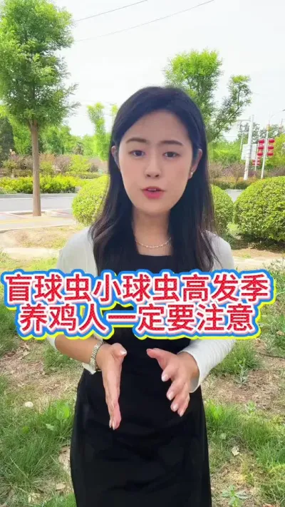 #服务三农支持三农 #养鸡#科学养鸡#散养土鸡#养鸡妙招