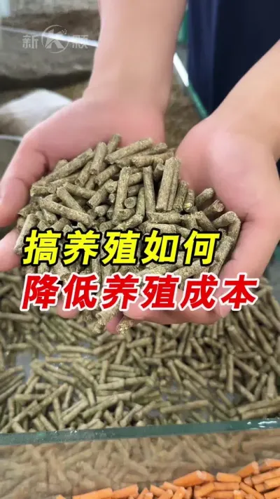搞养殖如何从源头降低养殖成本，看了这个视频或许你能找出答案。#颗粒机 #养殖 #饲料颗粒机