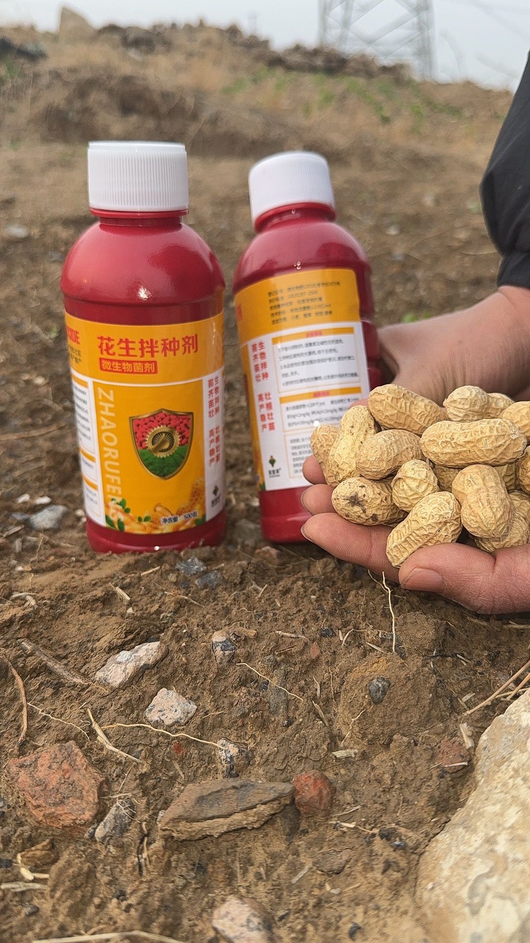 https://static.ixuenong.com/pxn/uploads/prod/thirdfile/2025/05/a892a1f767f2f16c043e43ad20cd73c9.jpg