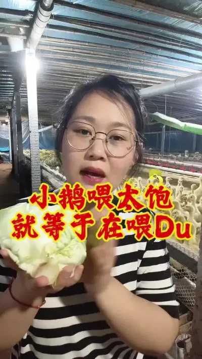 Сι̫ͼιdu# # # #շ #