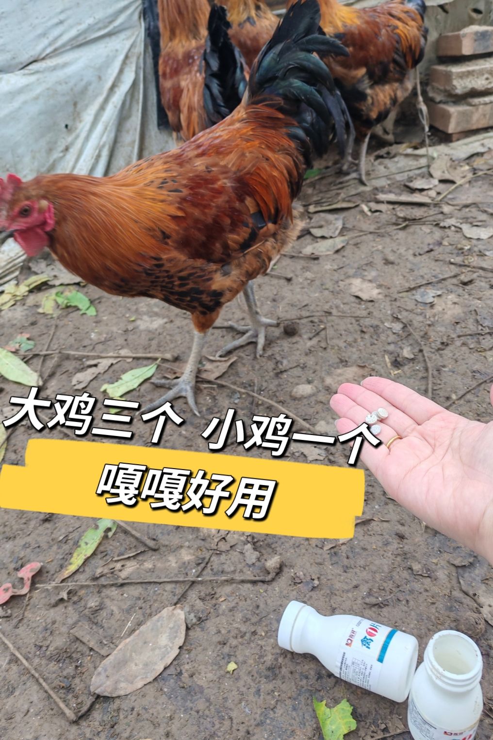 https://static.ixuenong.com/pxn/uploads/prod/thirdfile/2025/05/aa261acf6603ba256a3edfa4c12d772a.jpg
