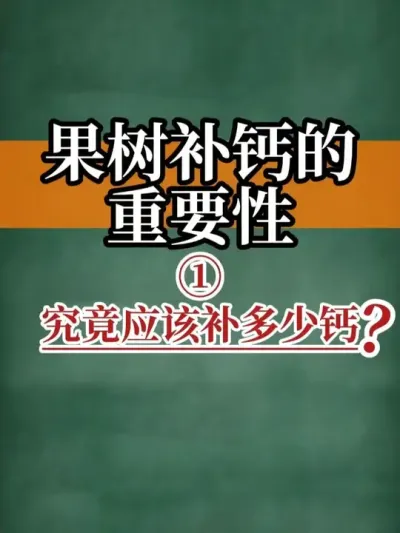 �������Ƶ���Ҫ�� 1.��ʵӦ�ò��������
#�Ʒ� #�������� #��ũ������2025 #ũҵ #������ũ��ũ