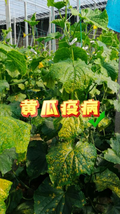 壬ũﲡר䷽# # #溦 #ũҵ֪ʶũ #ũ