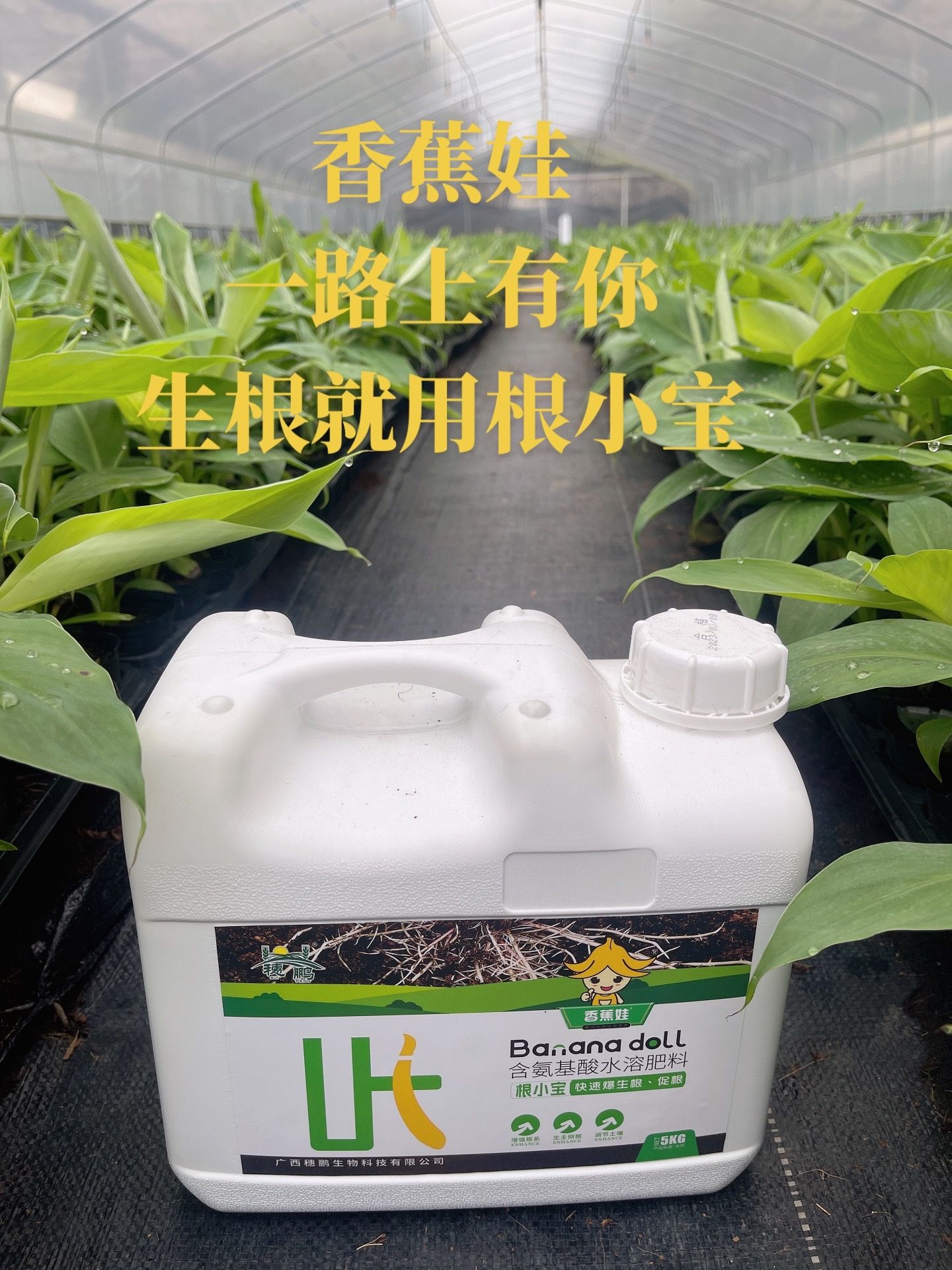 https://static.ixuenong.com/pxn/uploads/prod/thirdfile/2025/05/ae5c1b1ef554c0d8c779be59629300e5.jpg