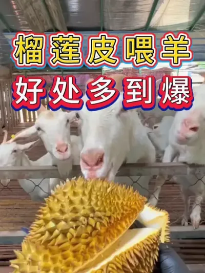 Ƥιൽ#ֳ##ũ# 