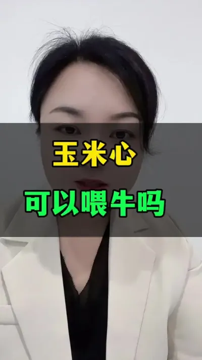 玉米心，可以喂牛吗#肉牛养殖 #养牛场 #农村养殖 #西门塔尔