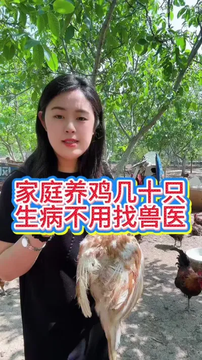 #科学养鸡 #服务三农支持三农 #鸡鸭鹅养殖 #养鸡人 #抖音养鸡人