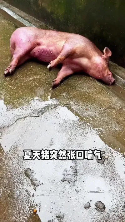 յ٭һҪע??# ###ũ