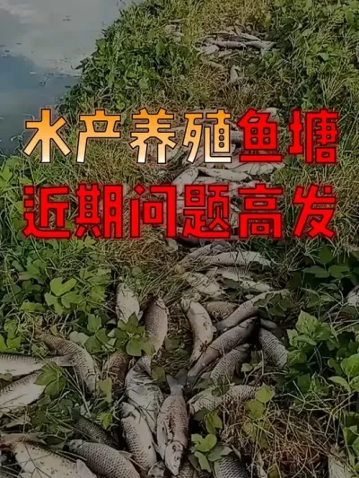 ���ڸ߷��������������������������������ֹ��#������  #����  #ˮ����ֳ����  #ˮ��