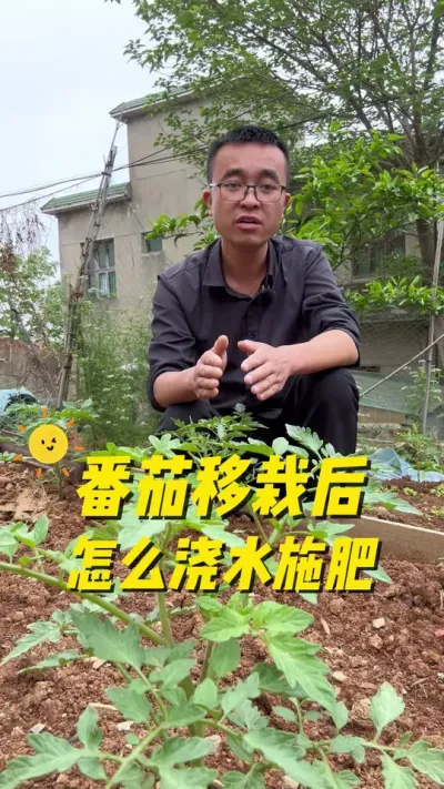 �������Ժ���ô��ˮ��ʩ����#һ�ָ���һ���ջ� #ݪֲС���� #�ҵ�С��԰#����ݪֲ #ѧ�ֲ�