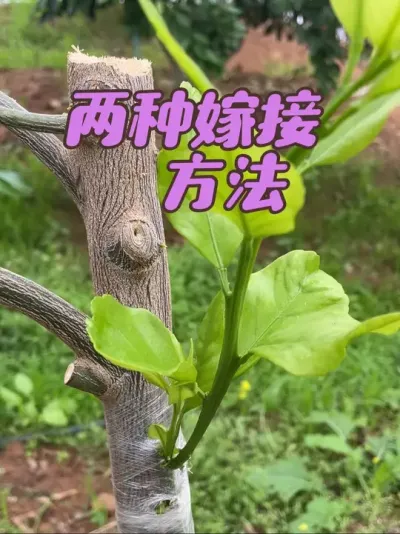 ּ޽Ҫ#޽ #޽ #޽ #ũ2025 #ũ