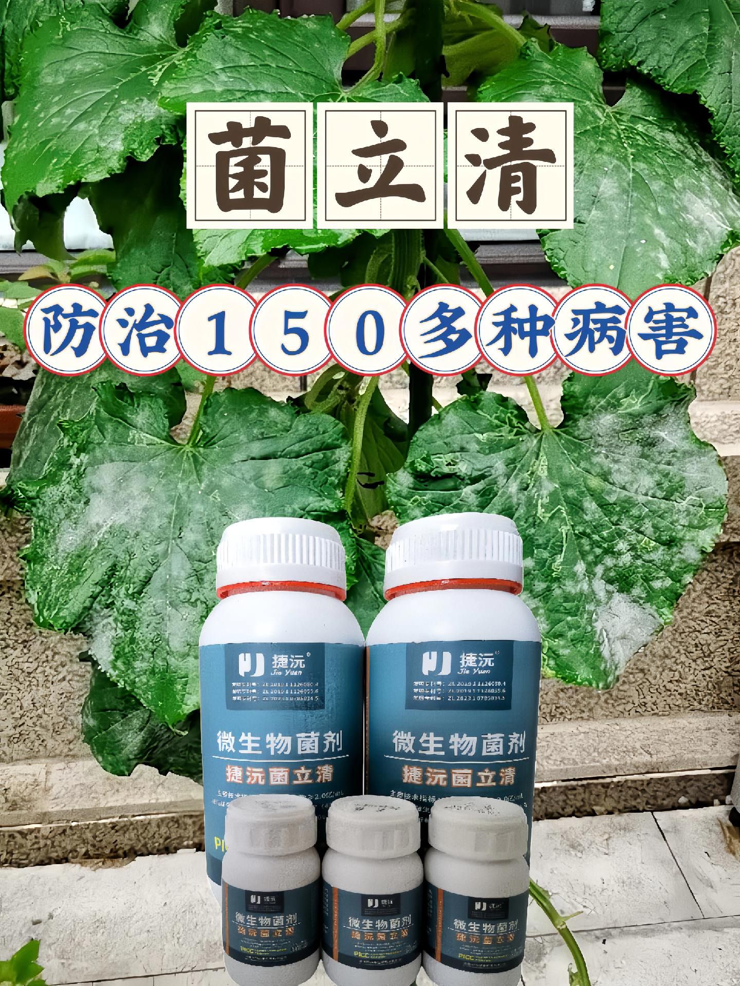 https://static.ixuenong.com/pxn/uploads/prod/thirdfile/2025/05/b6ef94142abb90753c4c6995380ea21a.jpg