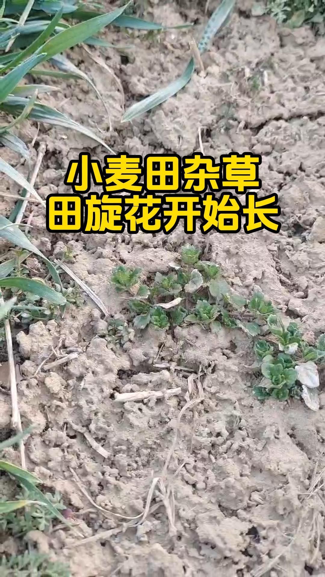 https://static.ixuenong.com/pxn/uploads/prod/thirdfile/2025/05/b7da8f0bdc86bcbb6c72b3e70dca9564.jpg