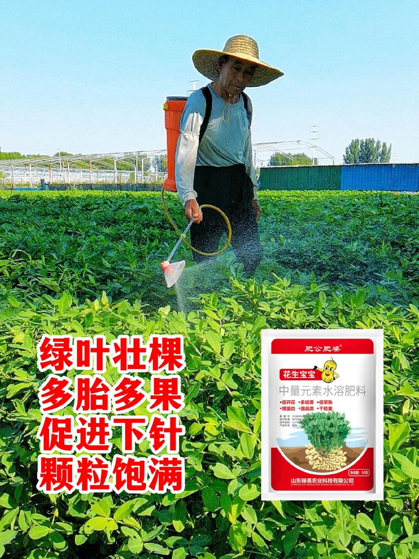 https://static.ixuenong.com/pxn/uploads/prod/thirdfile/2025/05/b80ac28c591dd2f5a2b9db13210ea7a6.jpg