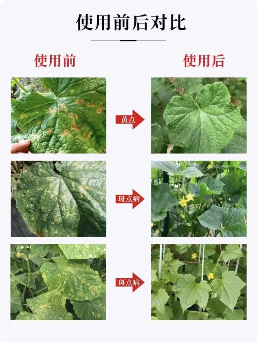 https://static.ixuenong.com/pxn/uploads/prod/thirdfile/2025/05/bc9e52e5ad5312947b32f5f92b40e7d1.jpg