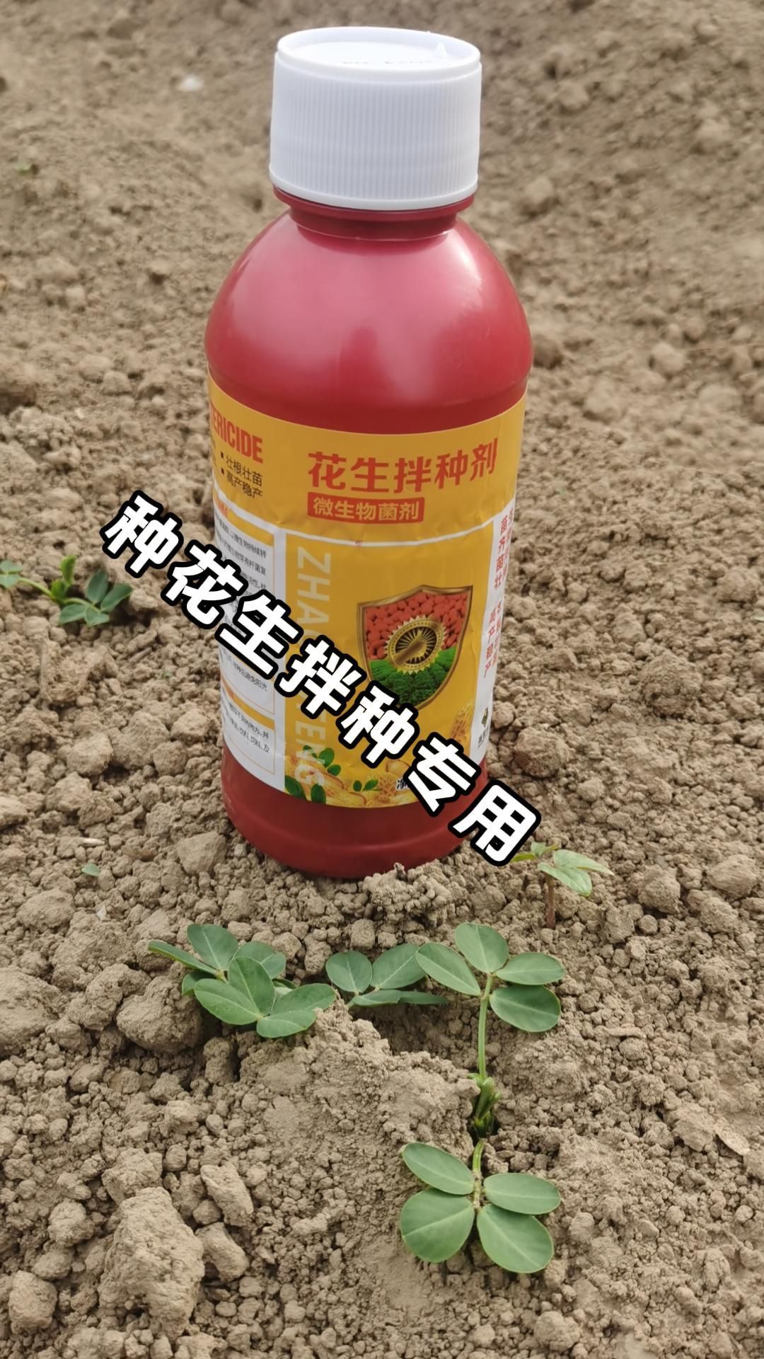 https://static.ixuenong.com/pxn/uploads/prod/thirdfile/2025/05/bf54cde2794b639ea83c983a322c8749.jpg