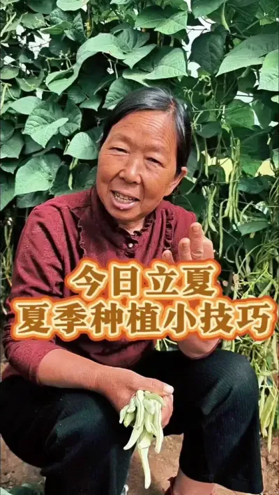 立夏时节，祈愿天地温柔相待，风调雨顺常伴，岁月安然静好。#三农 #立夏 #干旱 #种植小技巧 @DOU+小助手 @DOU+上热门