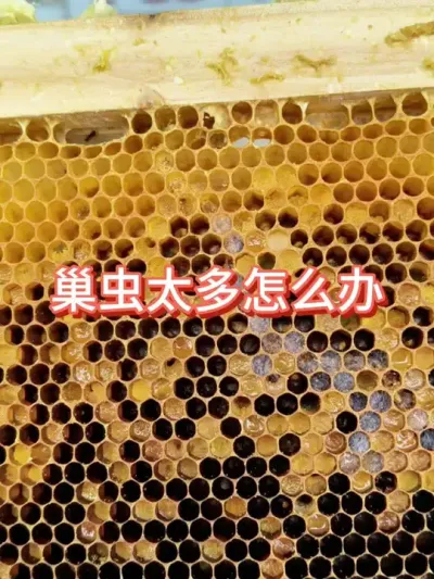 ����̫����ô��#�۷���ֳ #��ũ #����